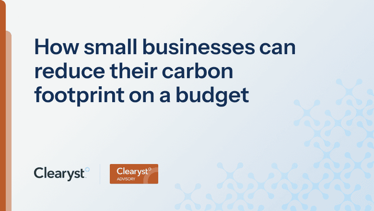 Carbon footprint of small business: cut emissions on a budget