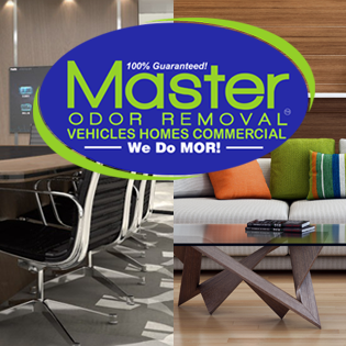 Master Odor Removal logo