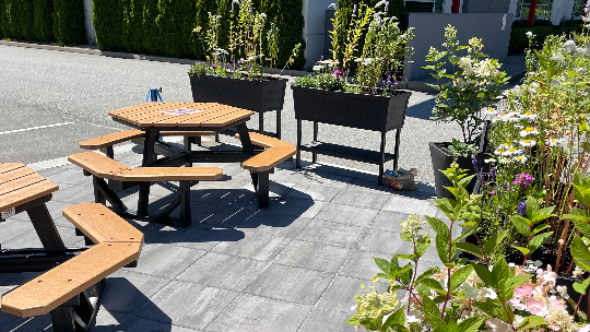 Pollinator Patio Debut